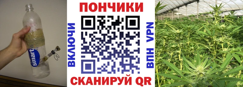 Купить  Тайшет  Конопля марихуана 